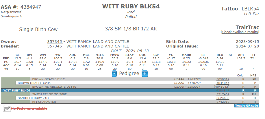 Registered Sim-Angus